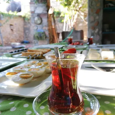 Kozmos Gaea Tatil Evi *