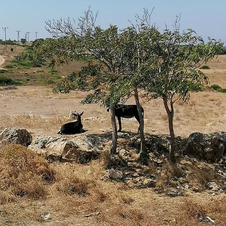 Kozmos Gaea Tatil Evi Appartamento Bozcaada