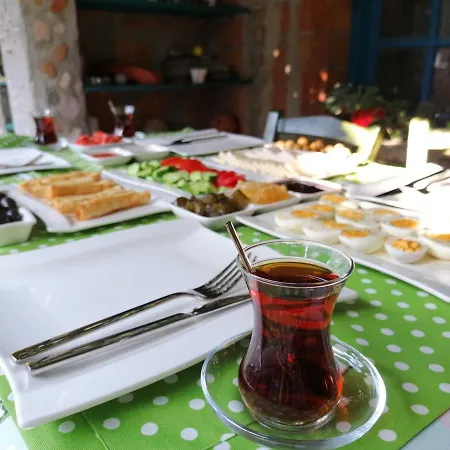 Kozmos Gaea Tatil Evi *
