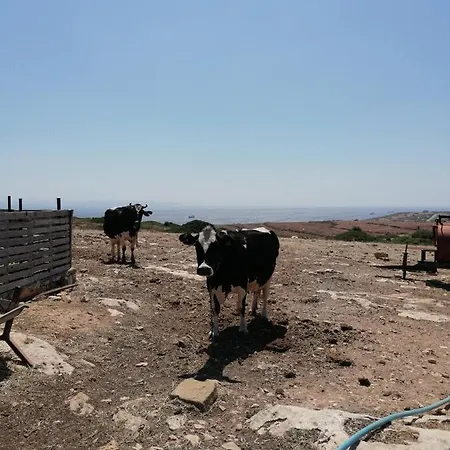 Kozmos Gaea Tatil Evi Appartamento Bozcaada